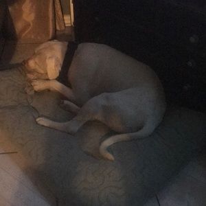 Meet your Posher, Raul